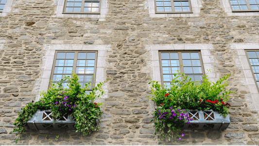 Beyond Repointing: Why ProMason Lime Mortar is Ideal for Laying Brick and Stone