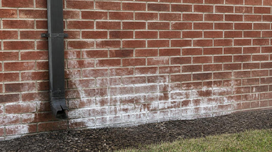 White Powder on Brick: Why It Keeps Coming Back and How to Stop It - ProMason Supply